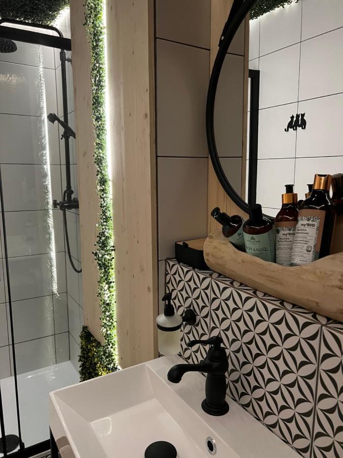 Wiatkapl Apartment Lesna Ngoại thất bức ảnh